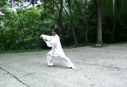 太极拳教学视频,领略传统武术魅力，轻松入门养生之道